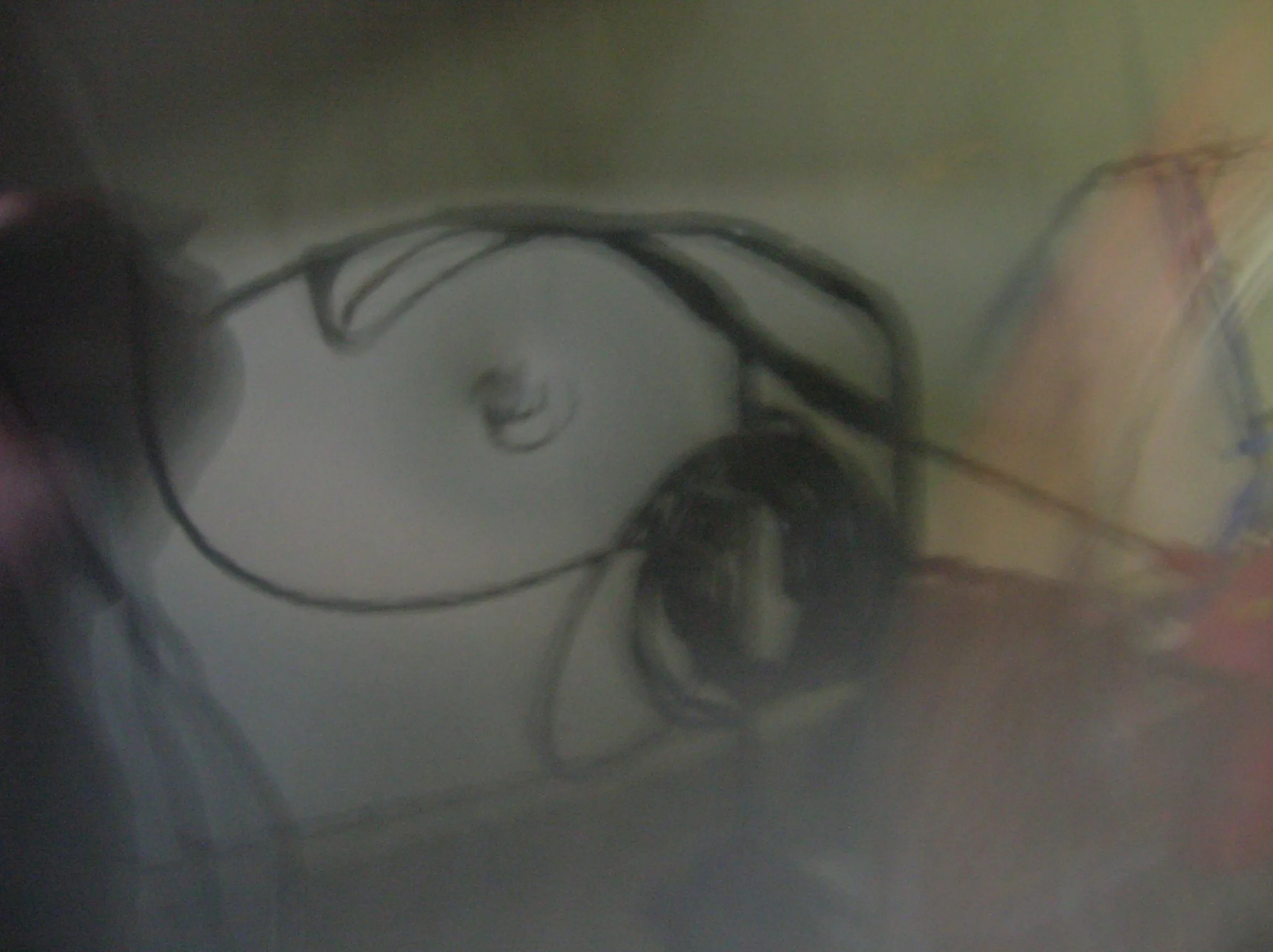DSCN2195.JPG