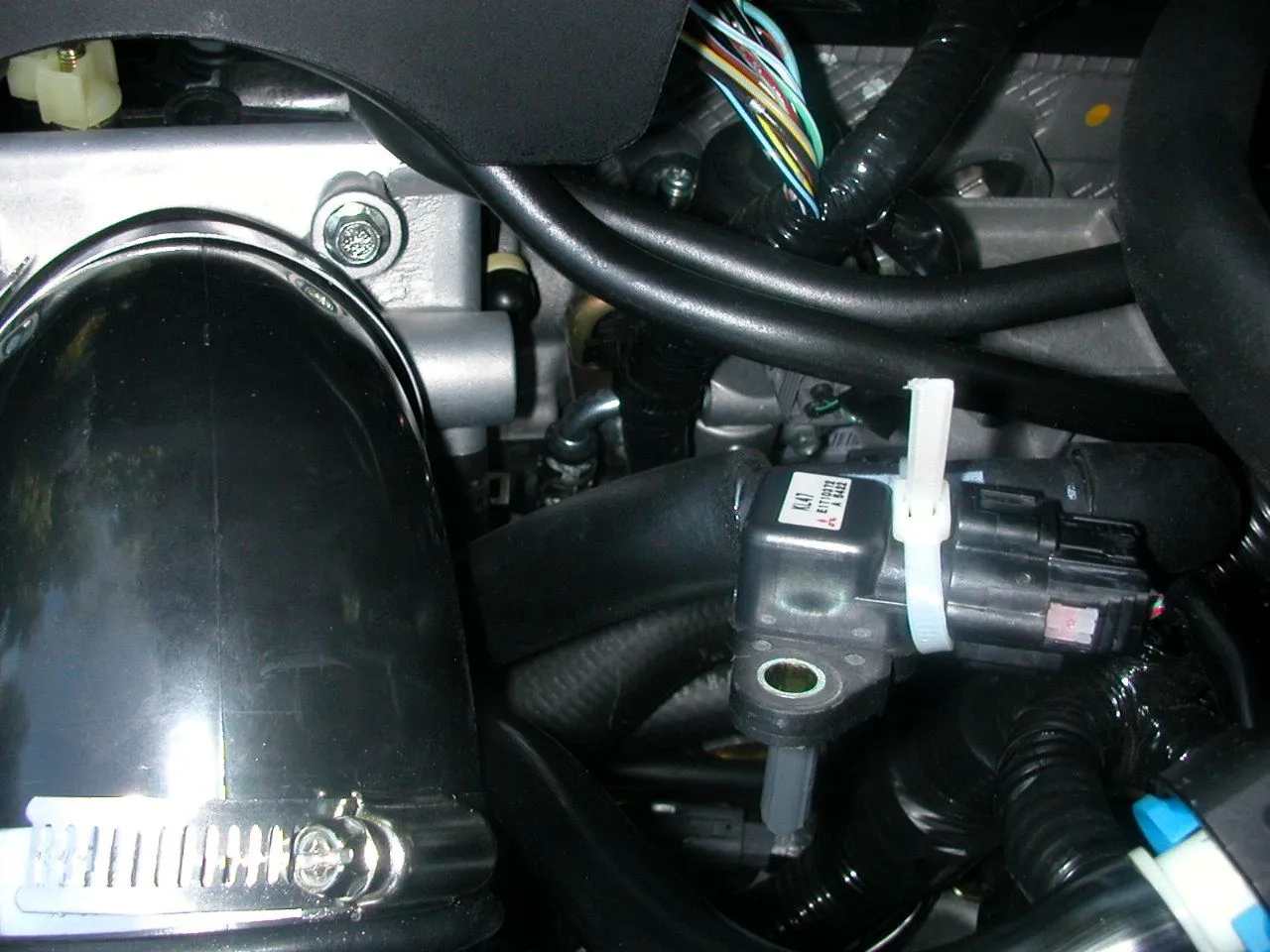 DSCN2943.JPG