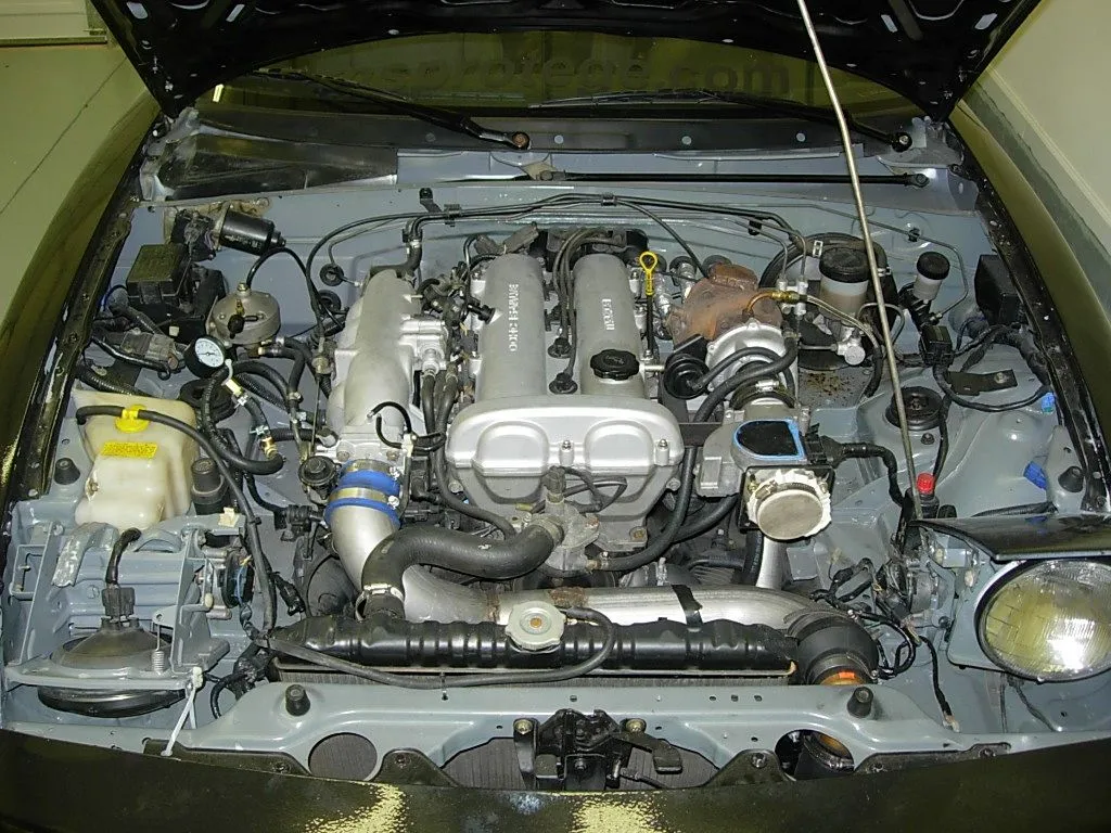 DSCN3571.JPG