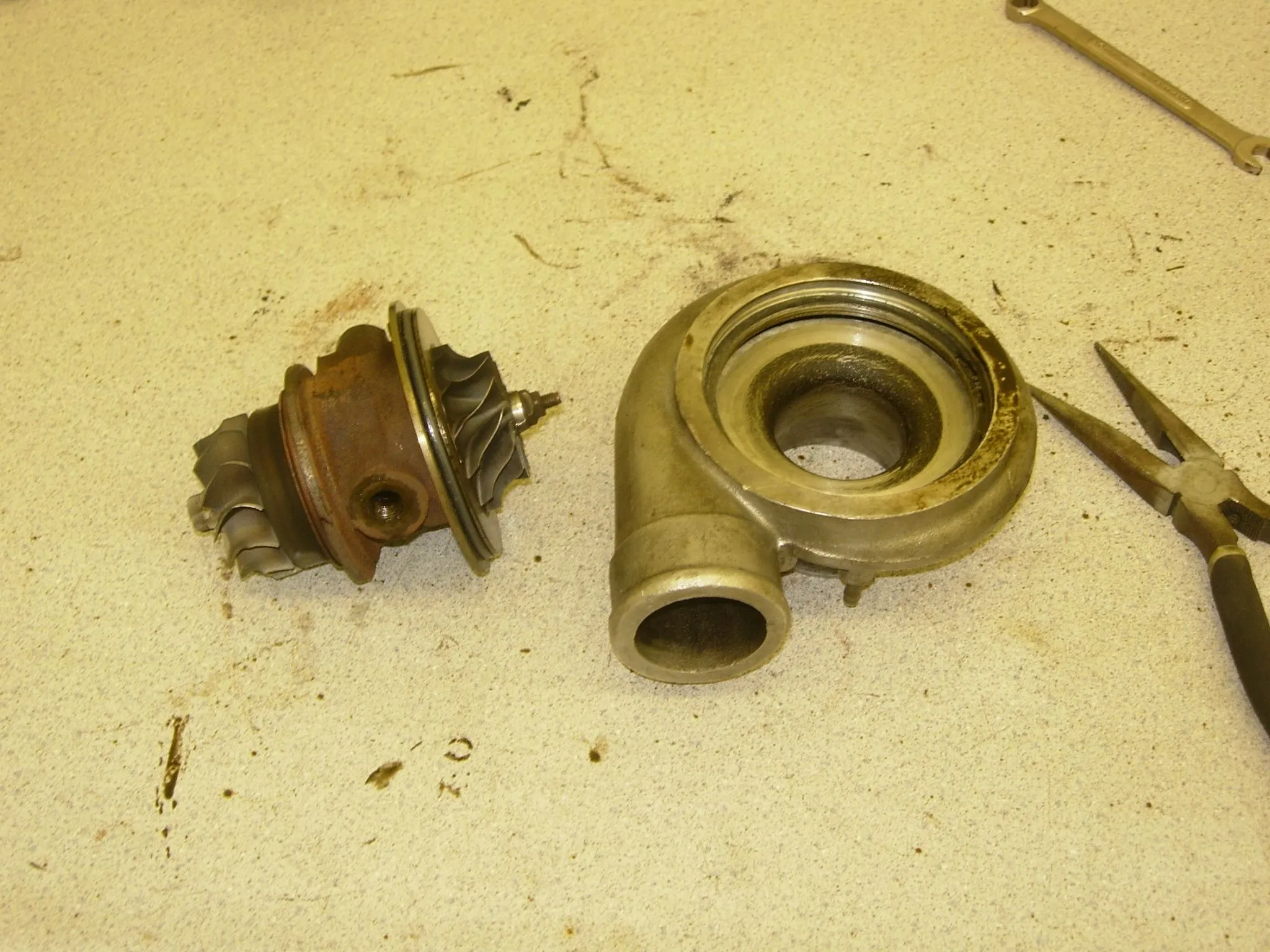 DSCN4591.JPG