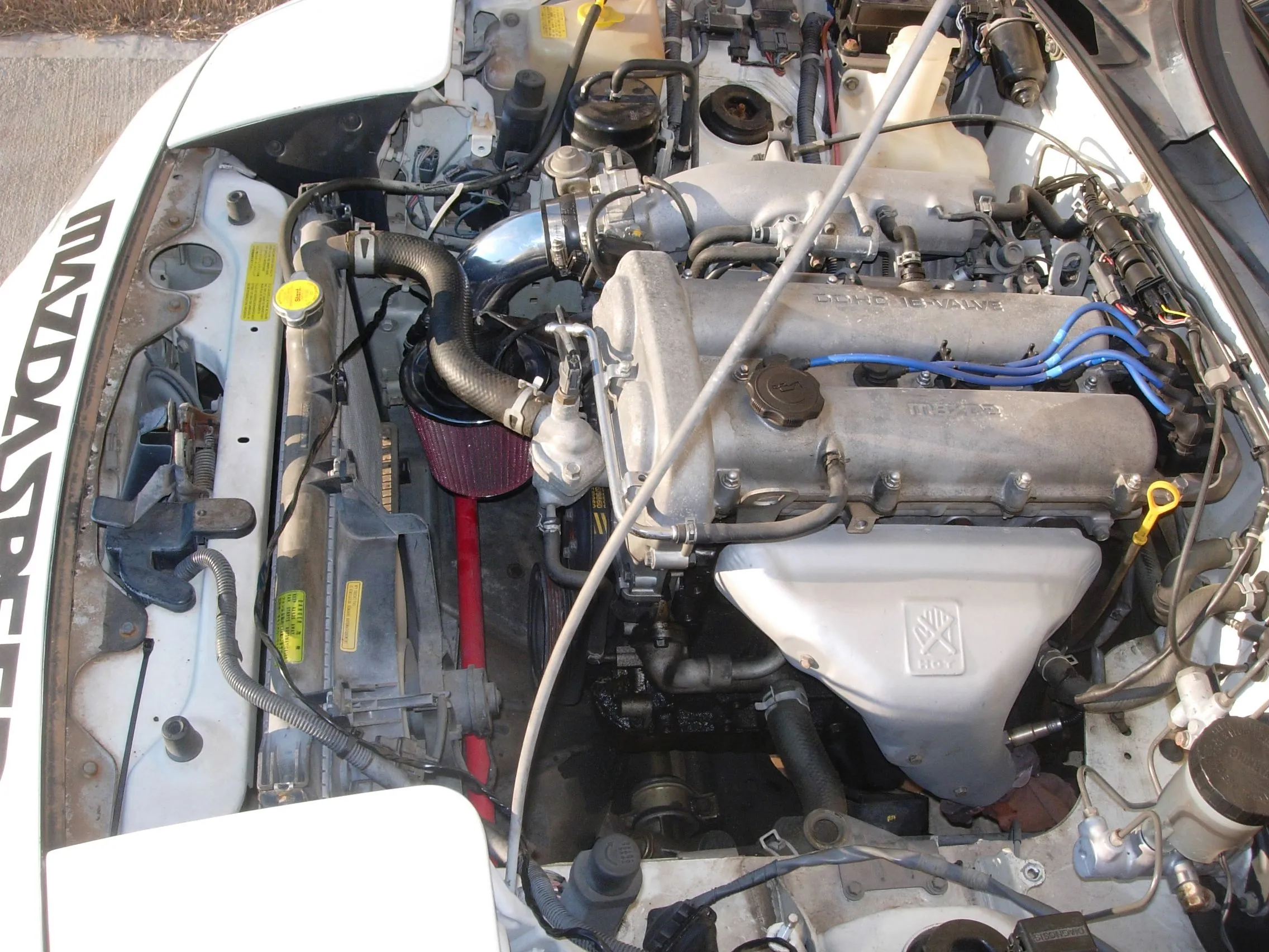 DSCN4824.JPG