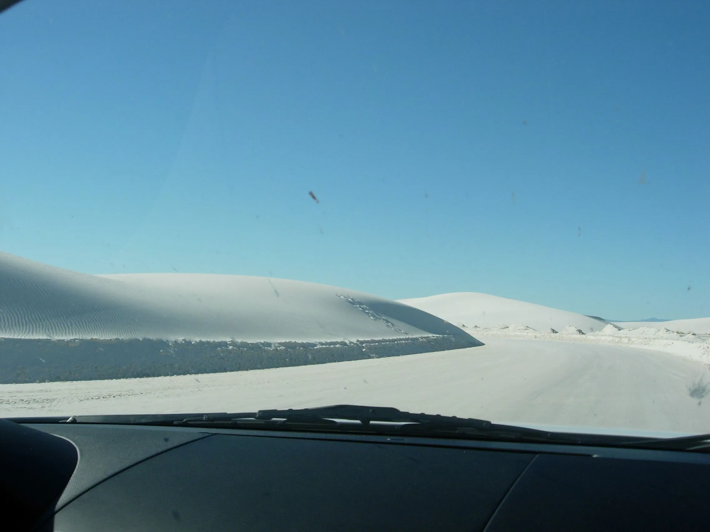 DSCN5118.JPG