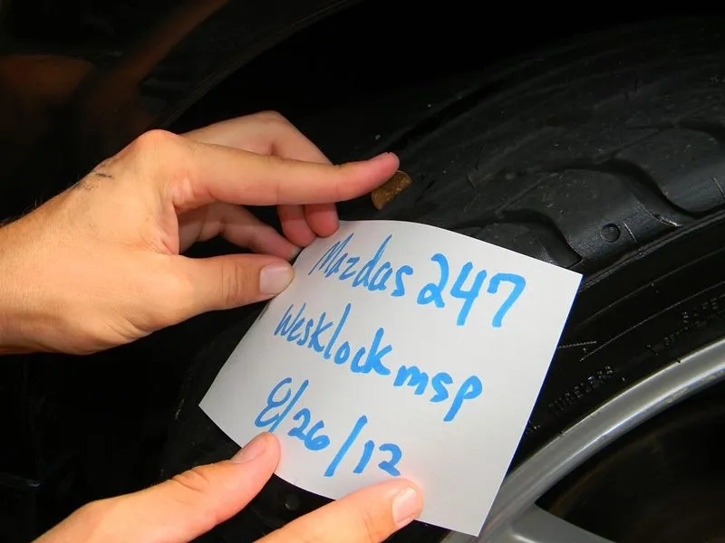 DSCN5195.webp