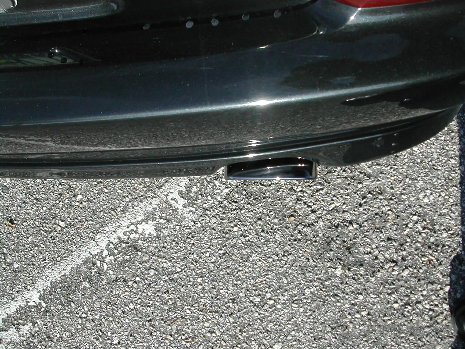 dscn6295.jpg