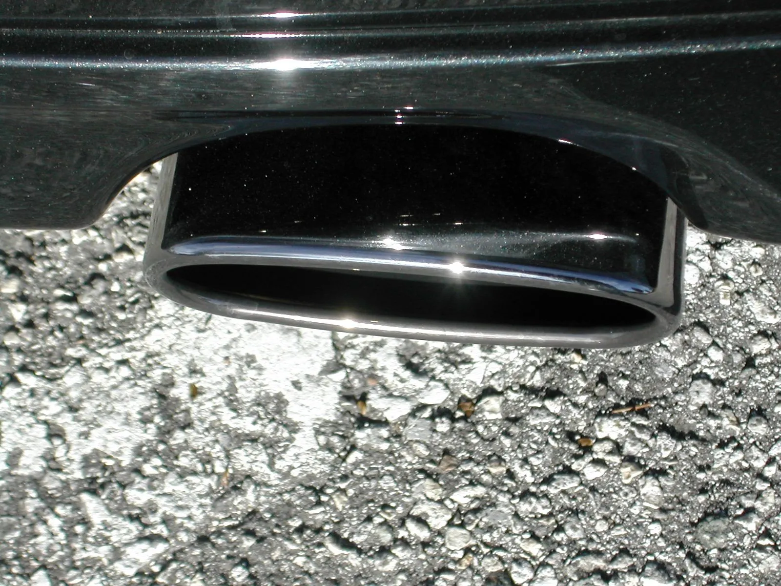 dscn6298.jpg