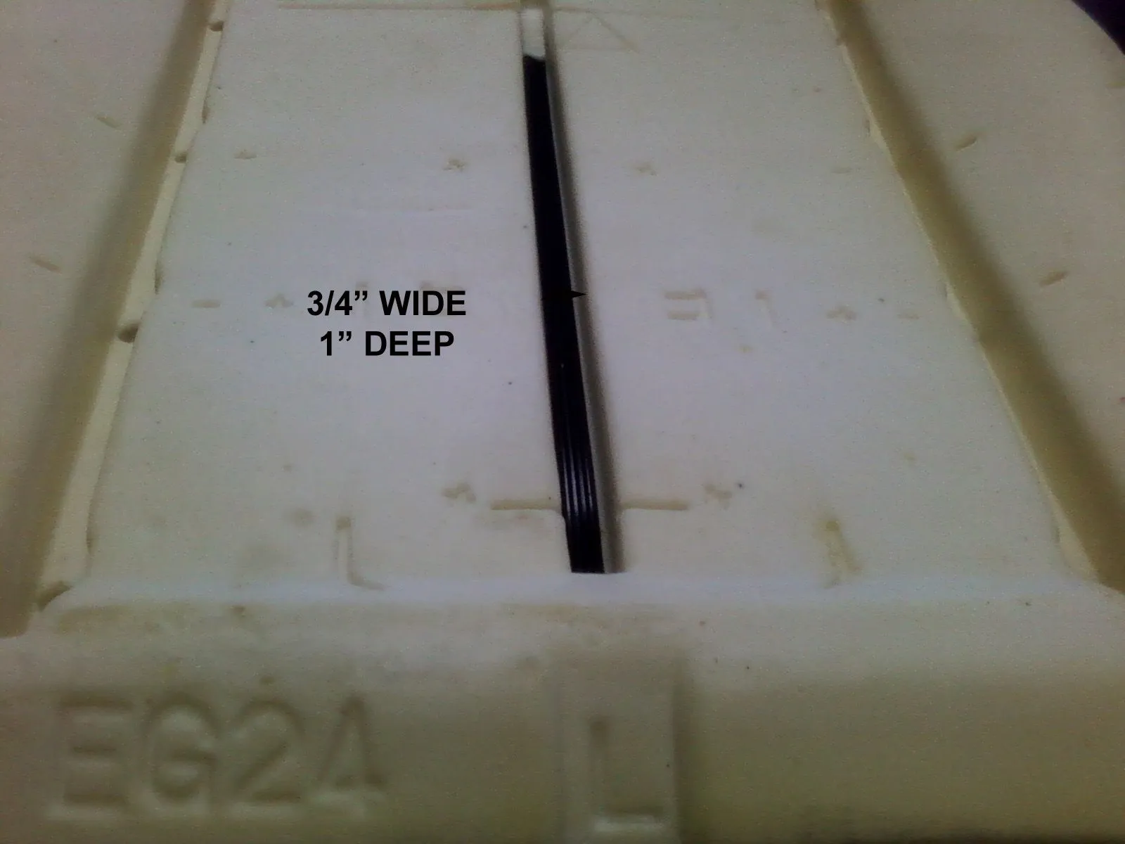 EG24L cushion.jpg