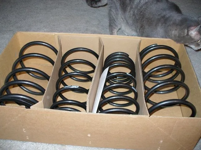 Eibachs 002W.jpg