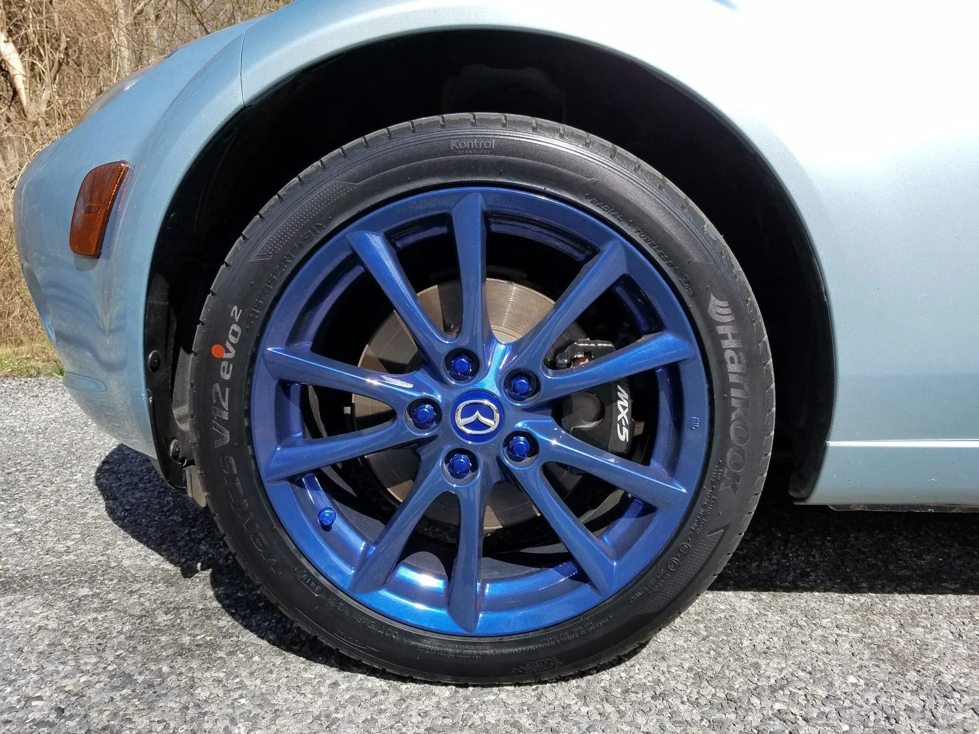 Emilia - Brake Caliper Decals - Front1.jpeg