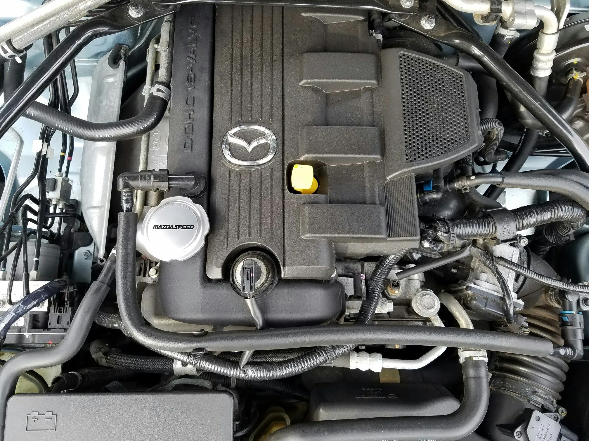 Emilia - Custom RV Oil Cap.jpeg