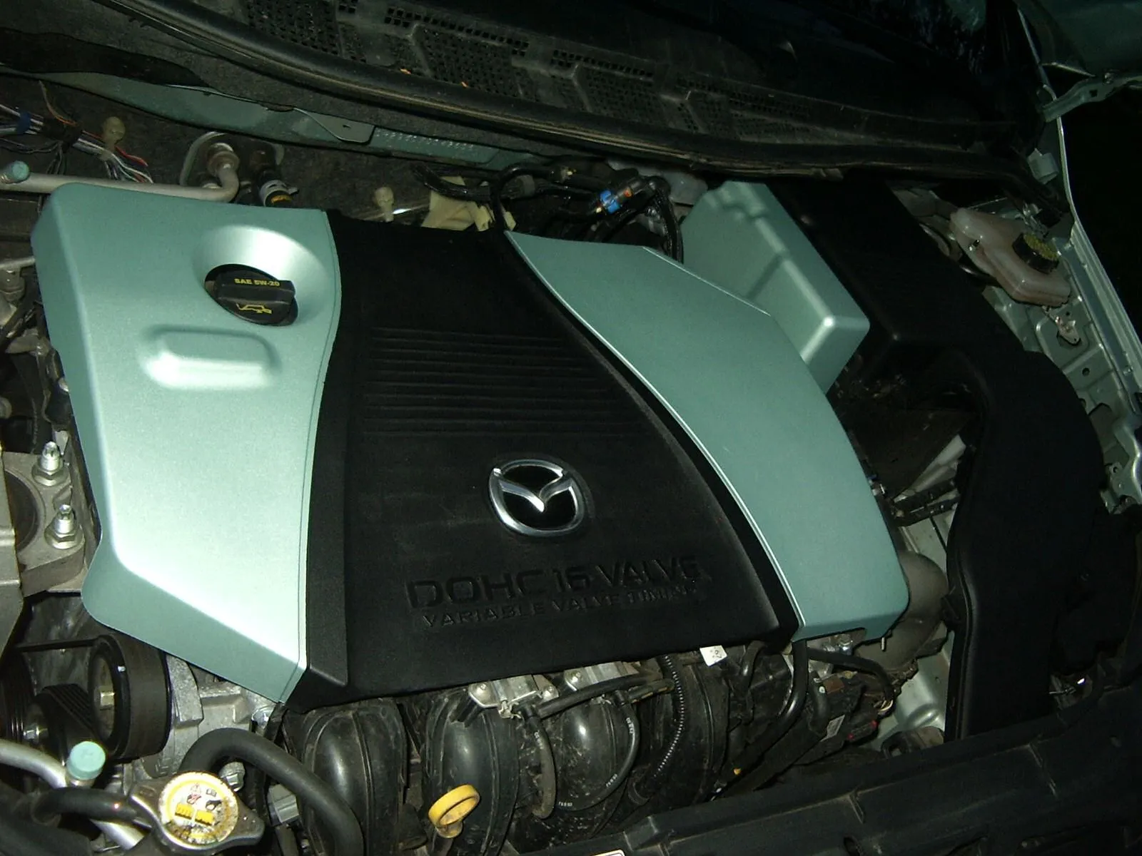 engcovergreen2.jpg