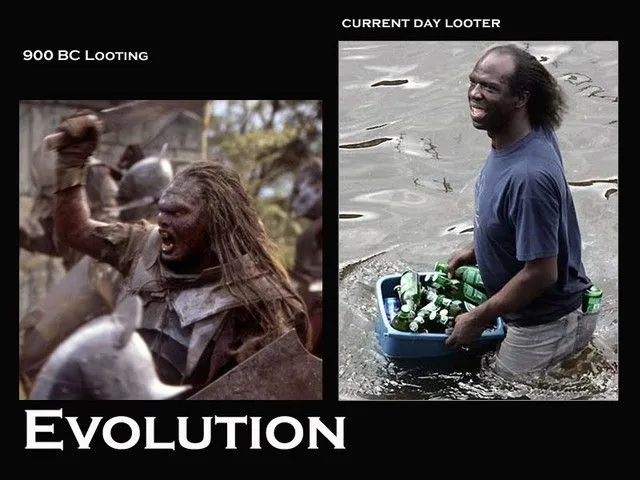 evolution.webp