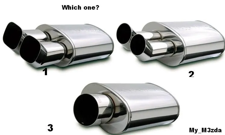 exhaust choice forform.JPG