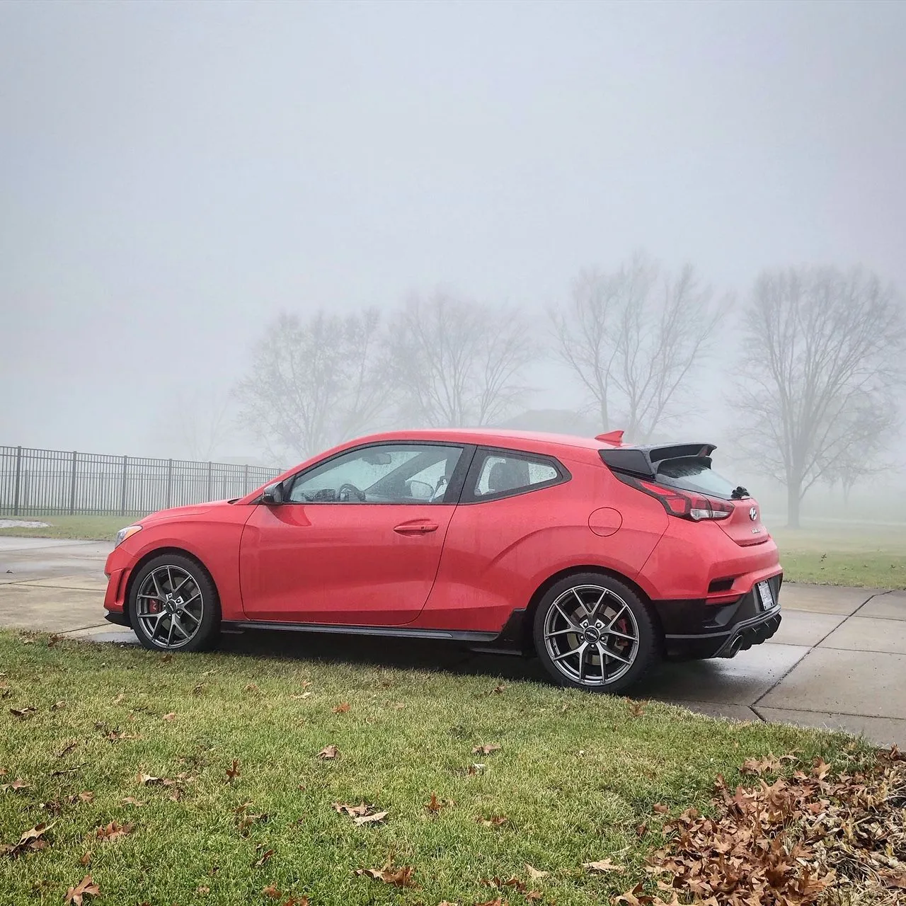 FA6E3D2A-CF51-4CED-BB4D-D0F5ED4498ED (1).webp