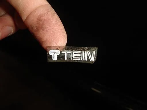 faketein1.JPG