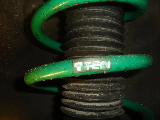 faketein3.JPG