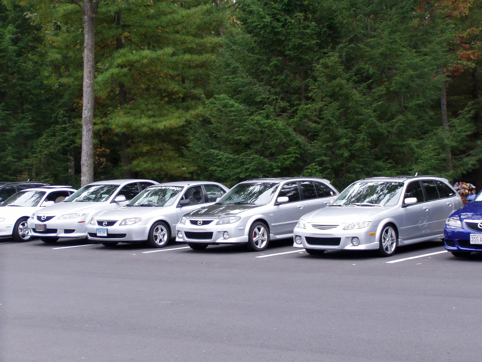 fall 04 meet stanley park 052.webp