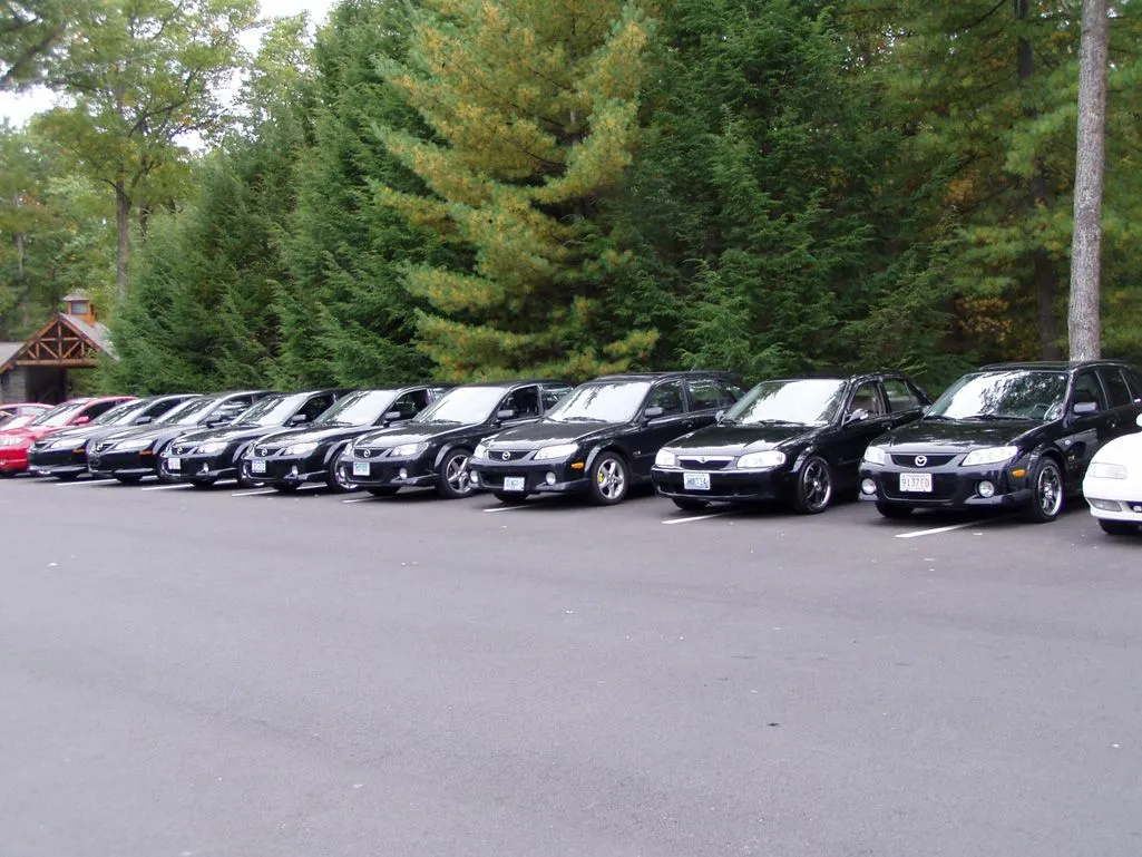 fall 04 meet stanley park black.webp