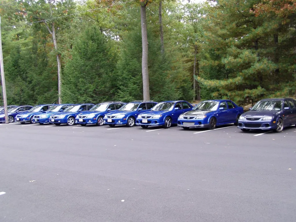 fall 04 meet stanley park blue.webp