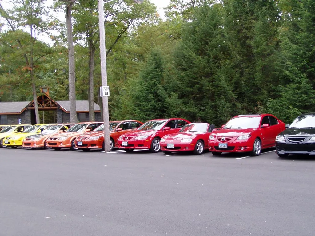 fall 04 meet stanley park red.webp