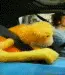 flat eric.webp