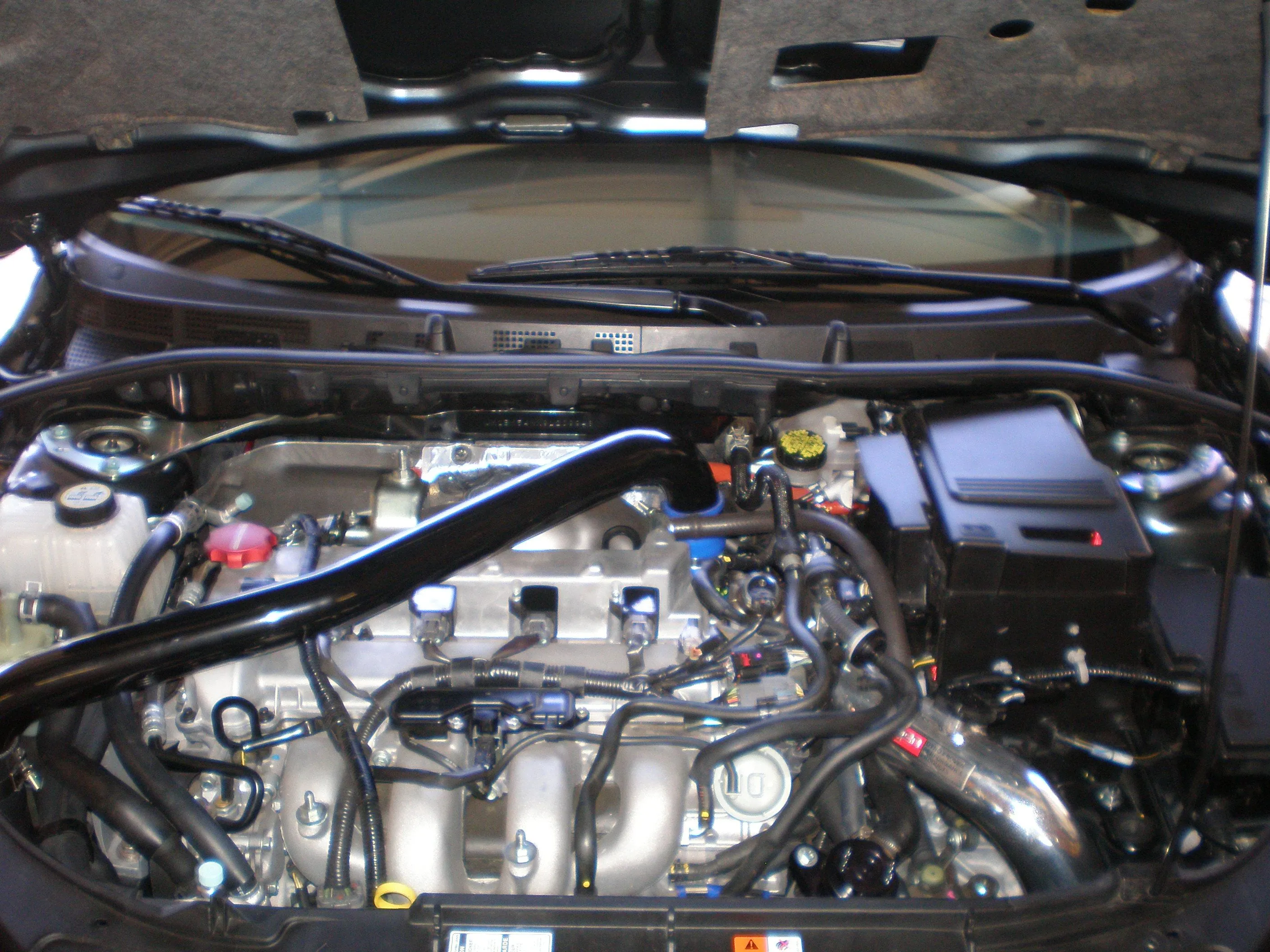 fmic 005.jpg