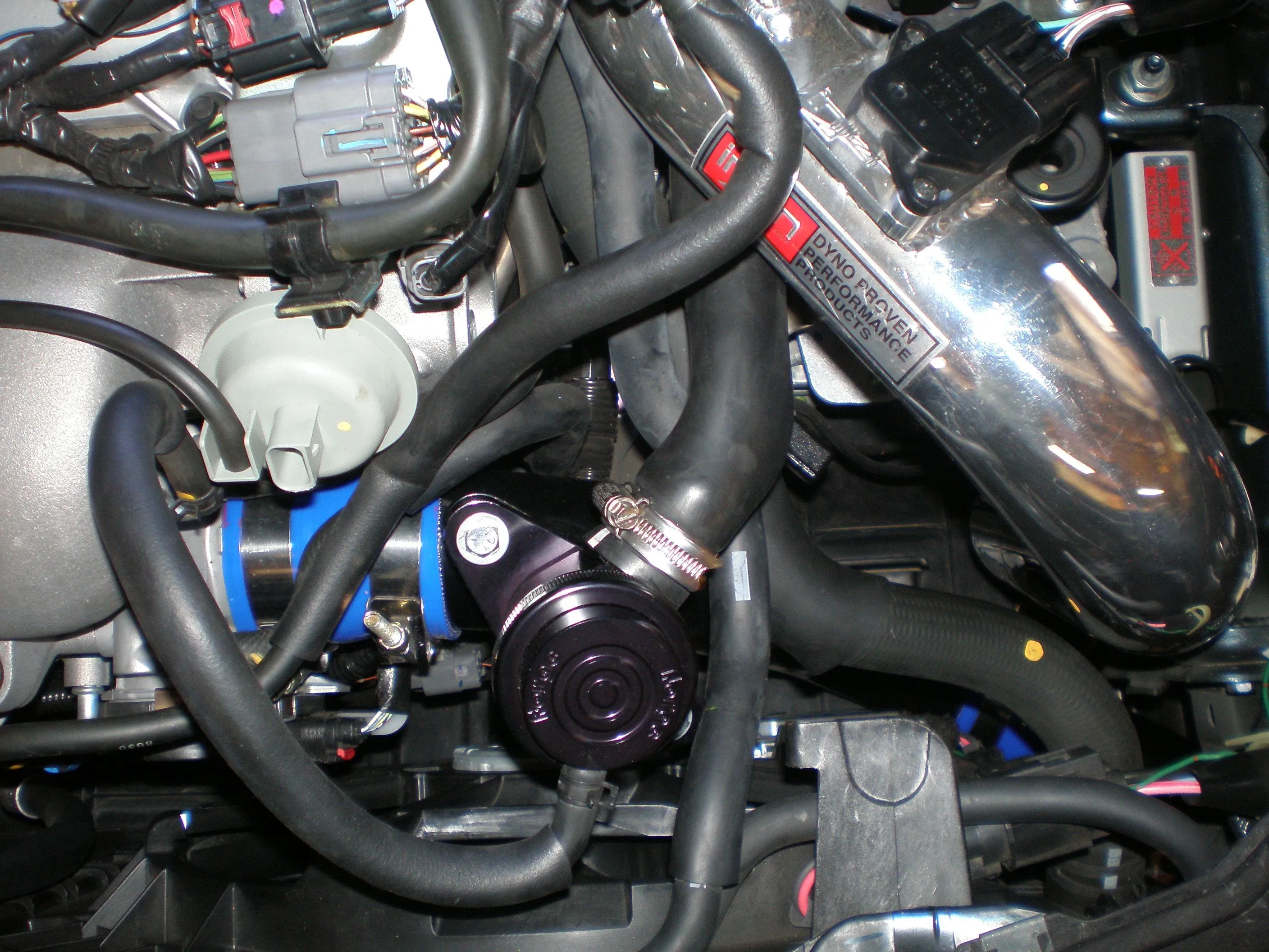 fmic 007.jpg