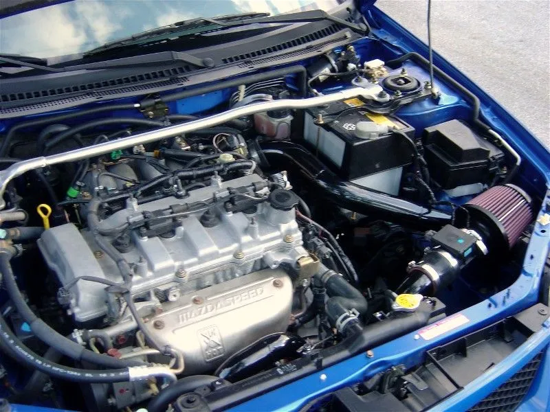 FMIC05.jpg