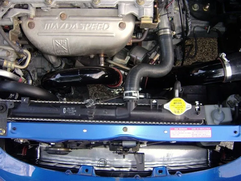 FMIC20.jpg