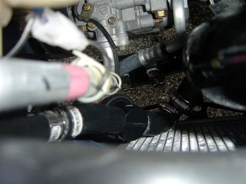 FMIC25.jpg
