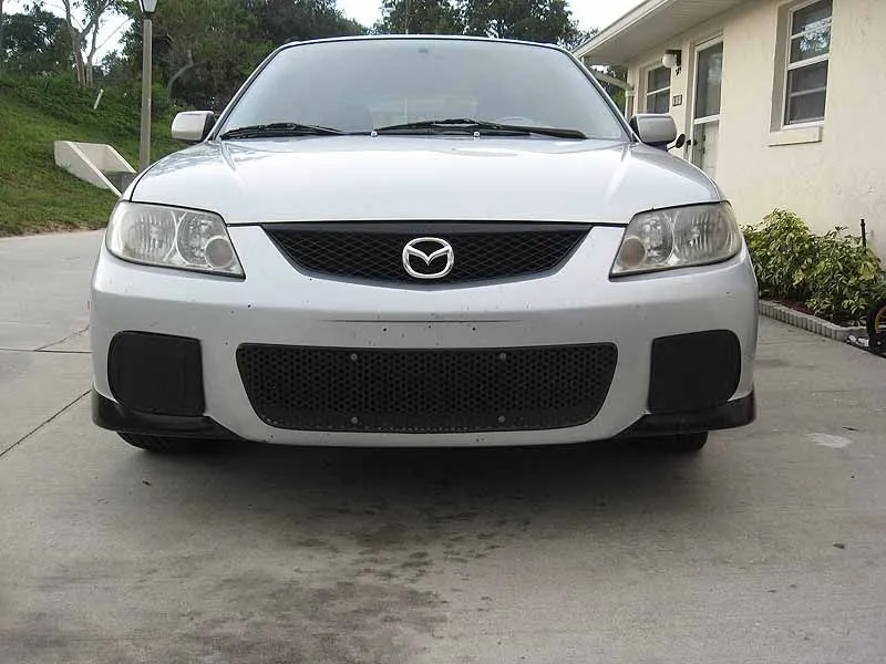fog light covers 003_sm.jpg