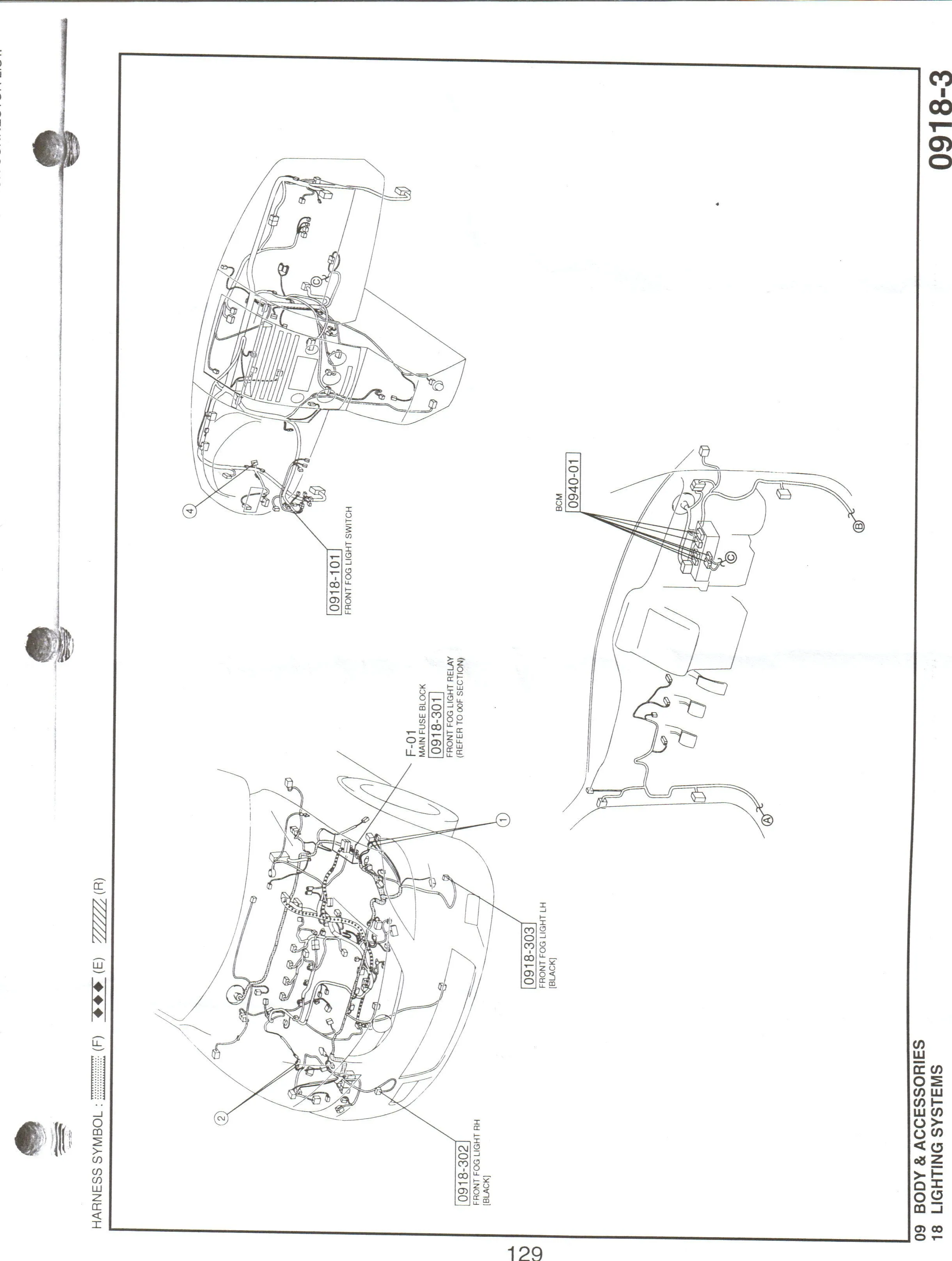 Fog Light Harness.jpg