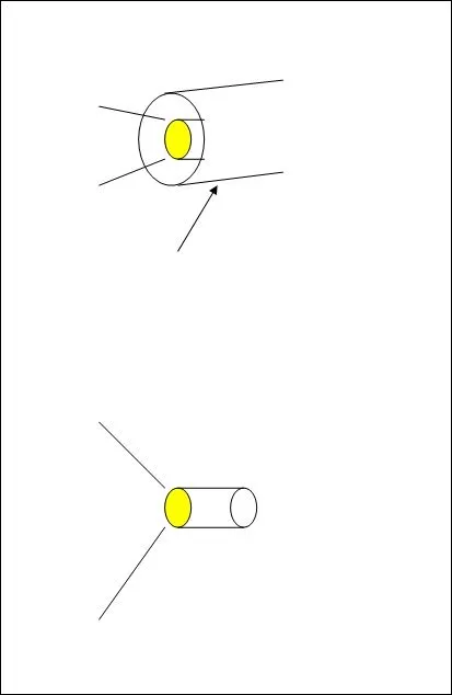 foglights.jpg