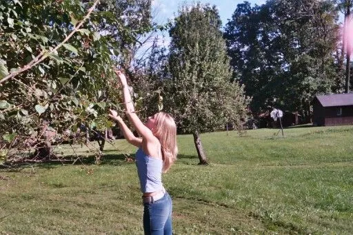 FruitPickin.jpg