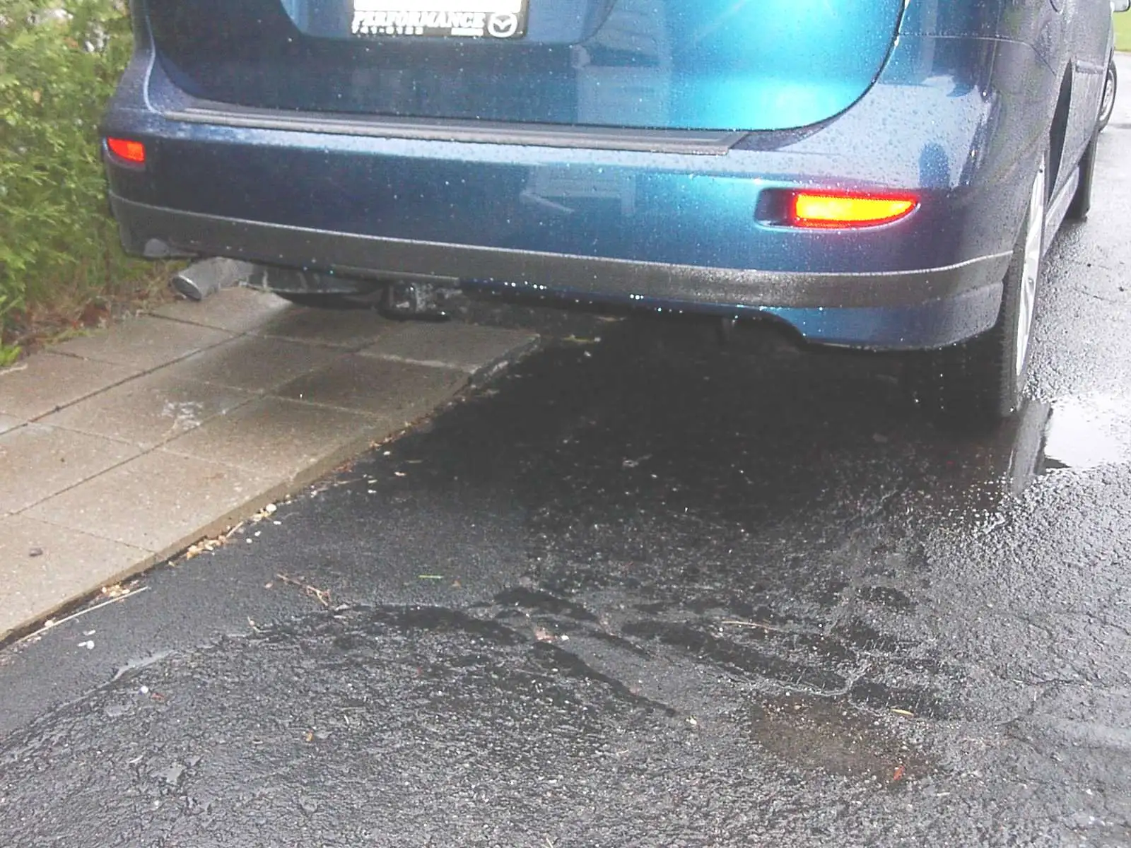 Full Bumper with Vynal.jpg
