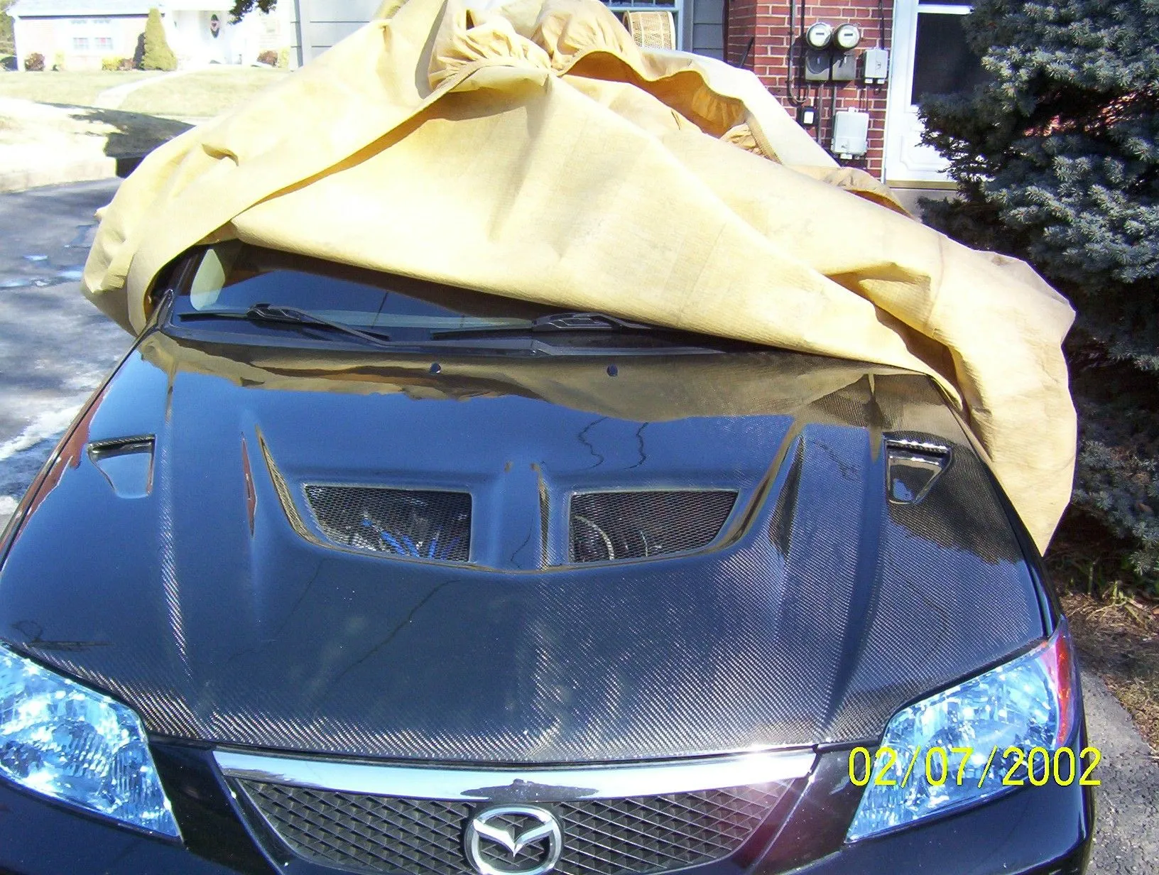 Full Hood.jpg