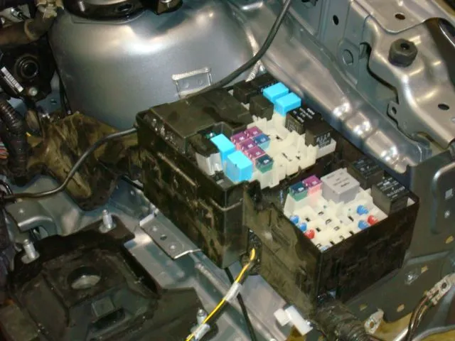 fuse 5.jpg