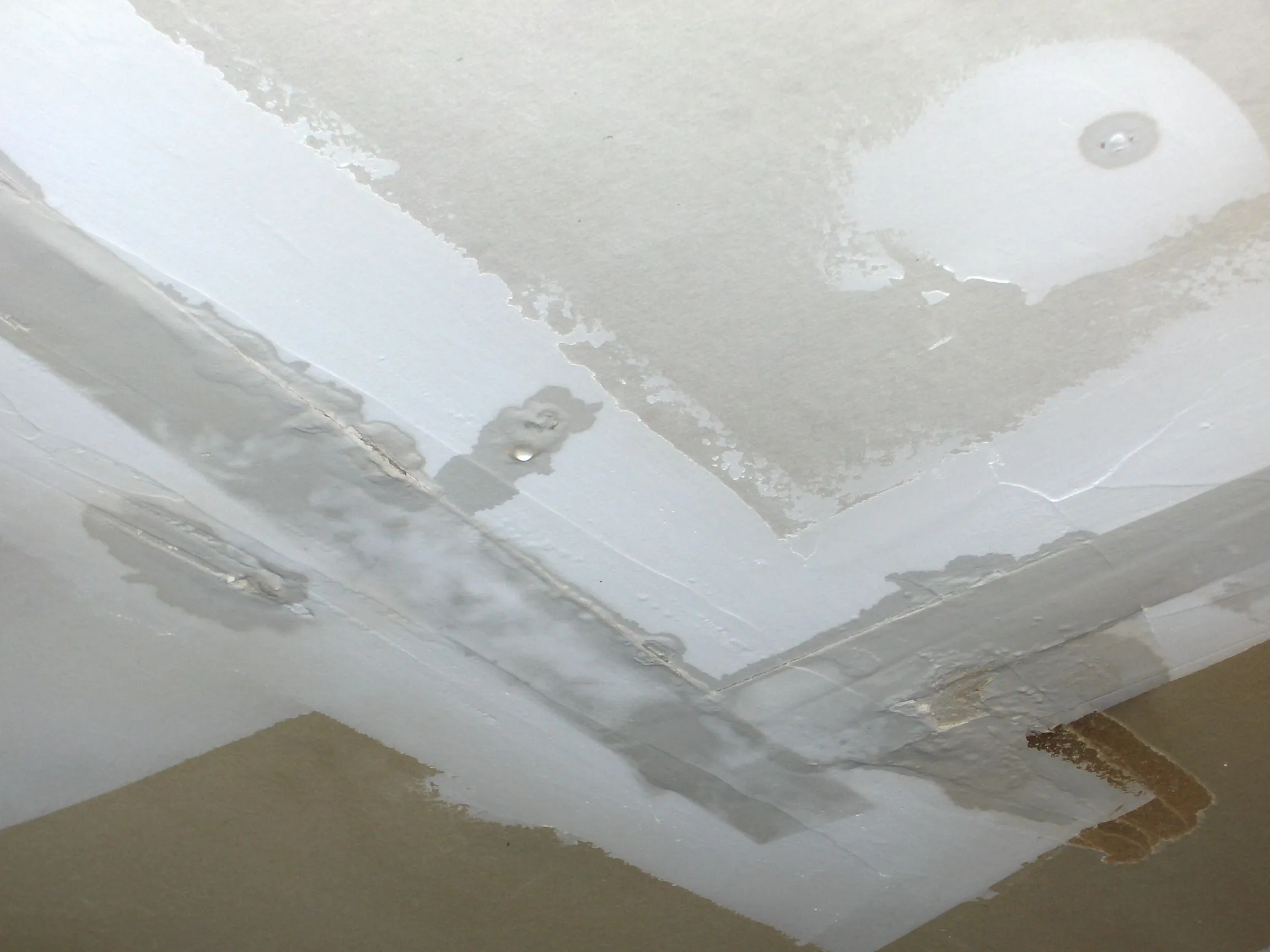 Garage Ceiling 2.webp