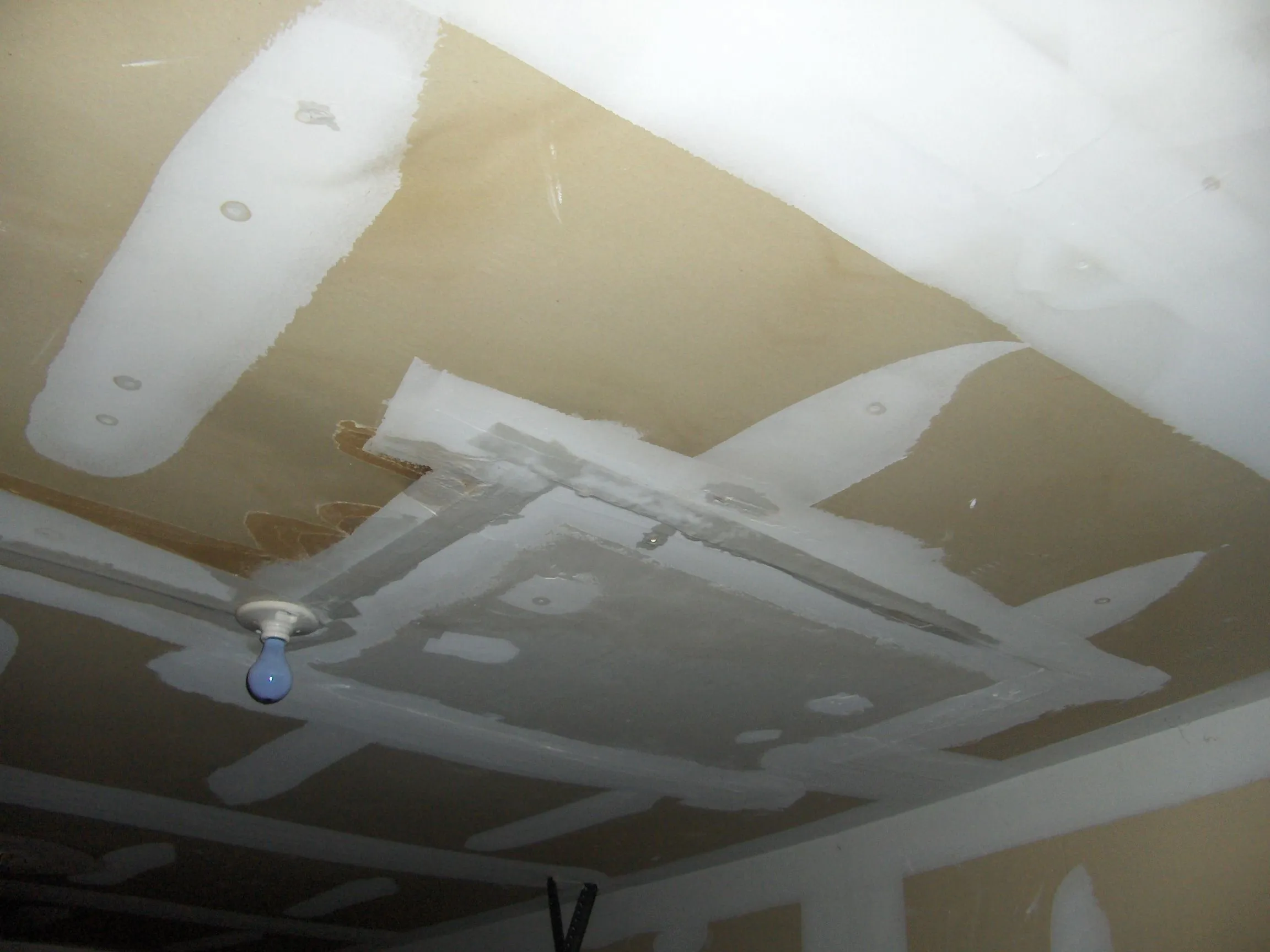 Garage Ceiling 3.webp