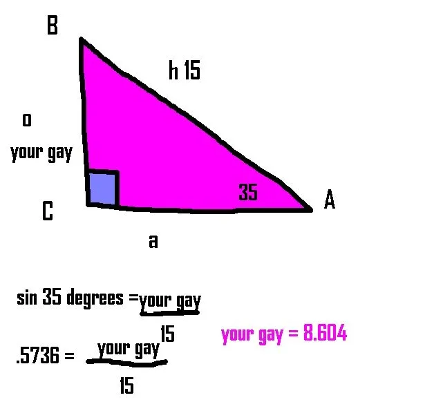 gayright.JPG