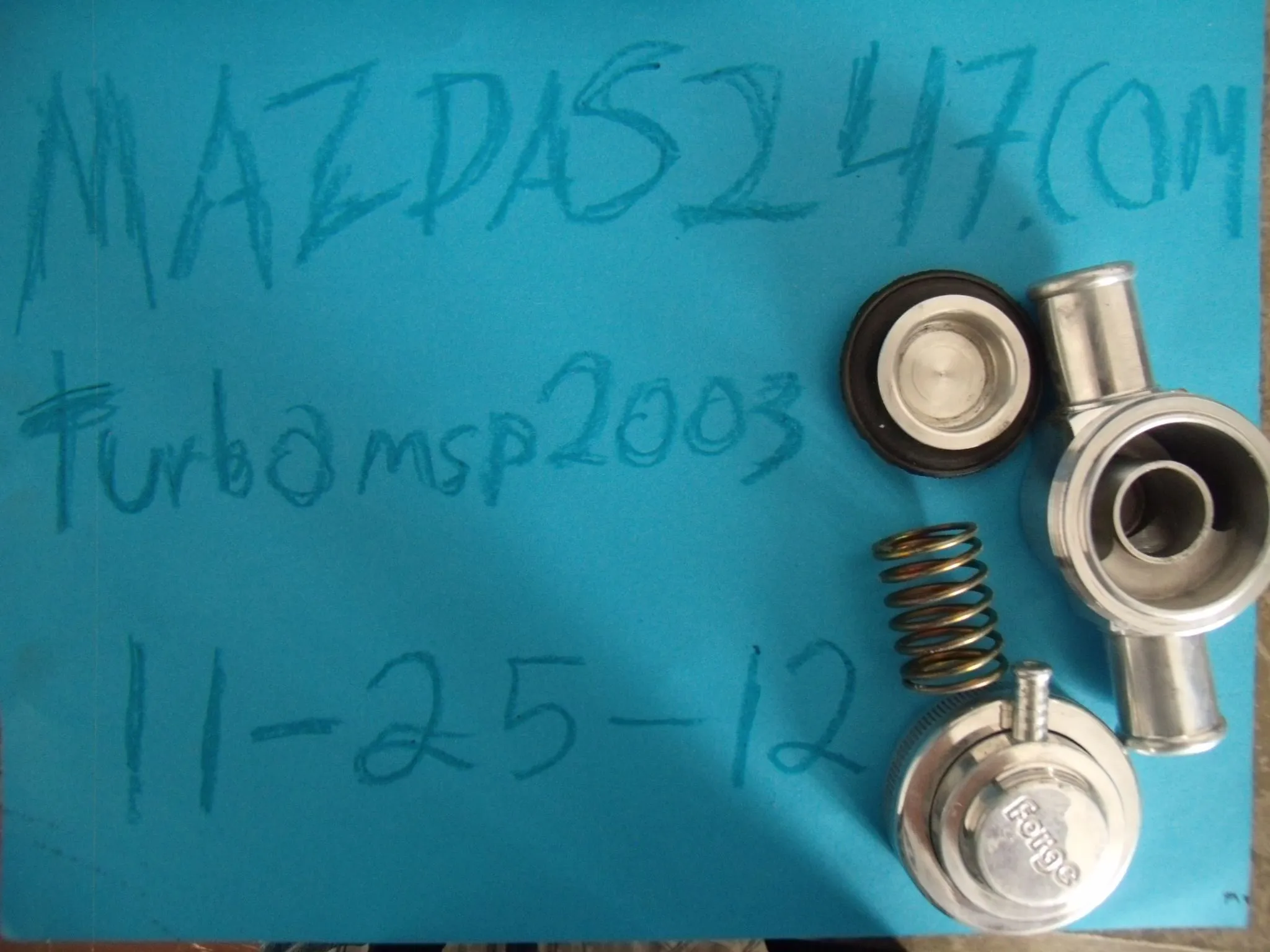 GEDC0460.webp