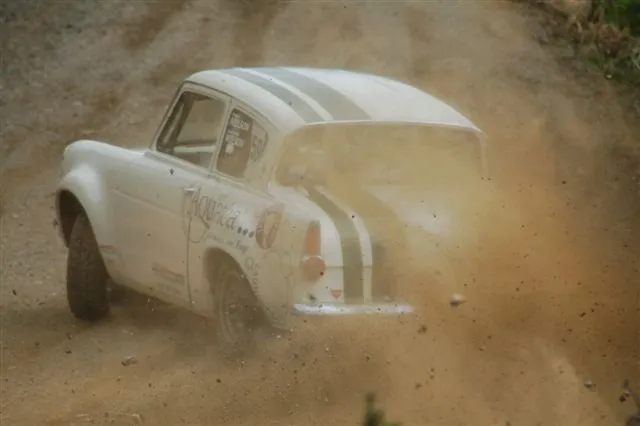 glenbervi forest 131.webp