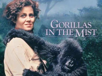 gorillasmist.webp