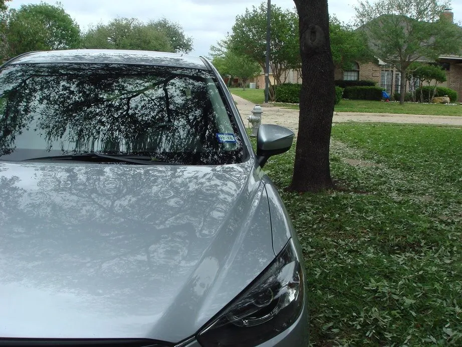 Hail_Damage_20170421_003.jpg