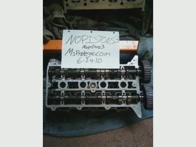 head w cams.webp