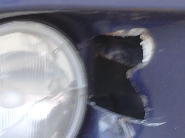 hit and run 2003 007.jpg