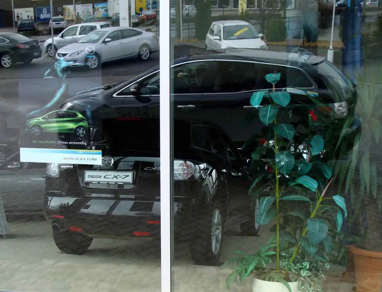 holgis mazda 1.jpg