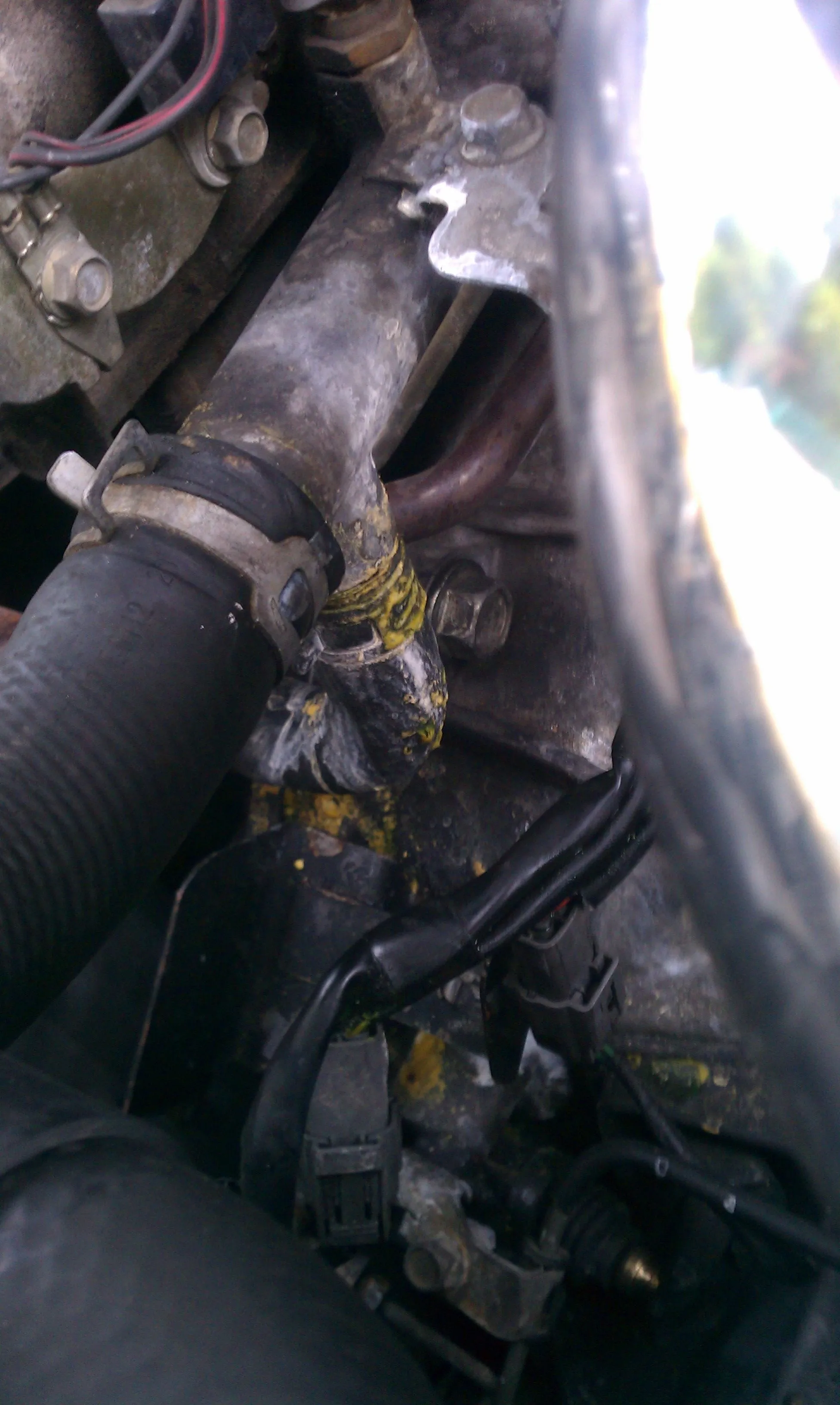hose at the bottom.jpg