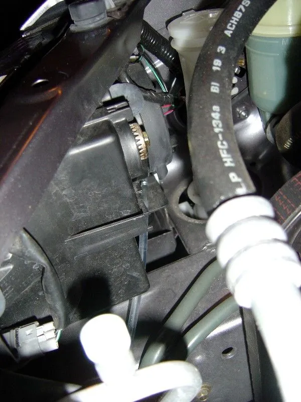 IC 02.jpg