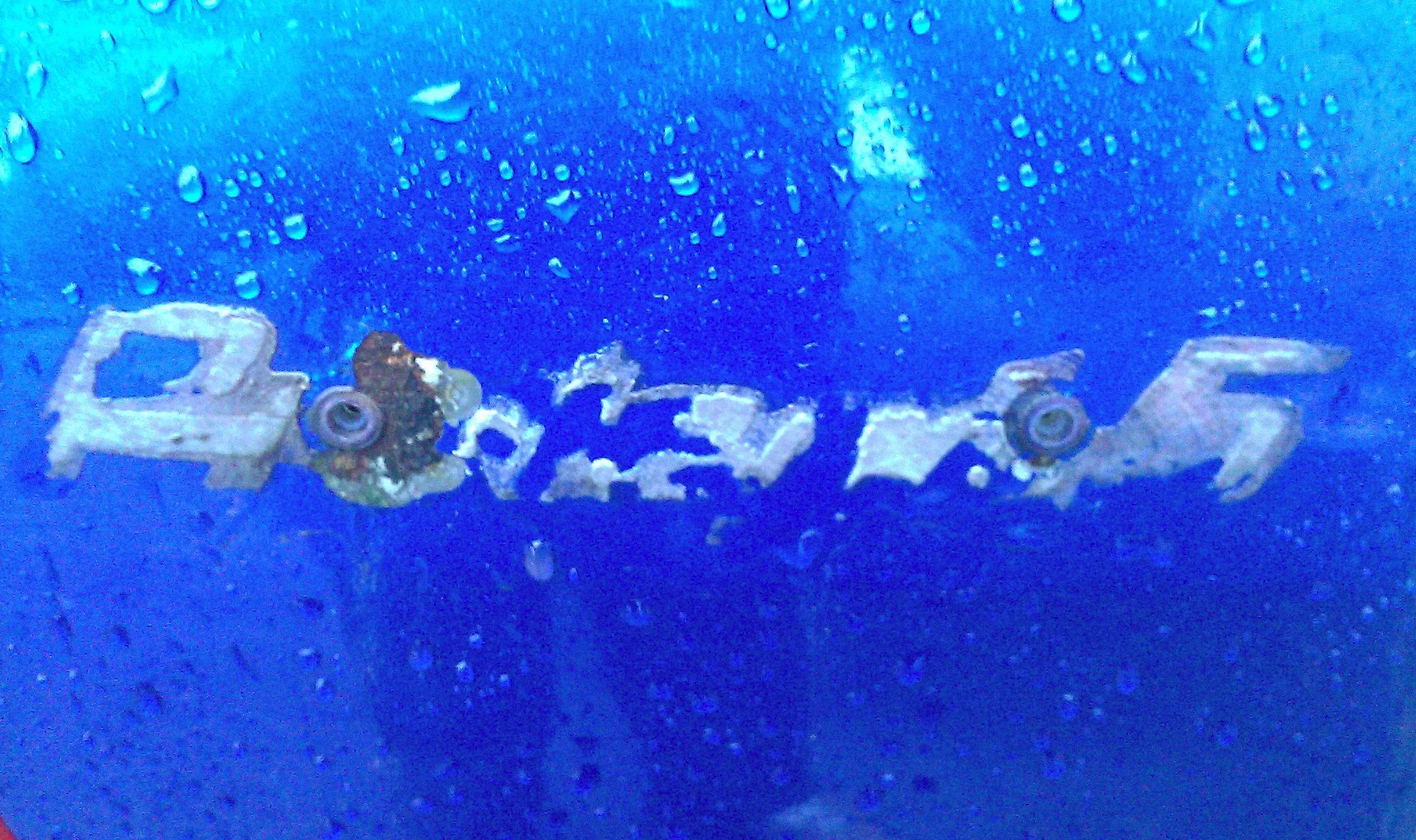 IMAG0030.jpg