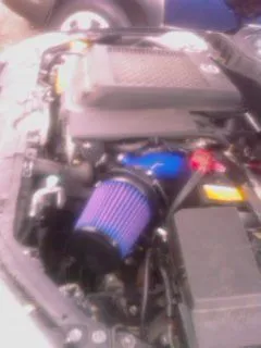 IMAG0041.jpg